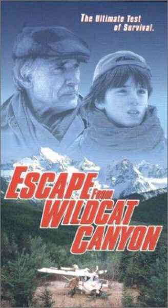 Escape from Wildcat Canyon (1998) starring Dennis Weaver on DVD on DVD