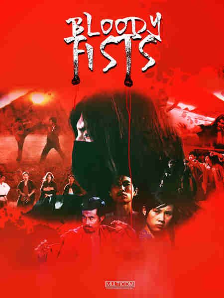 The Bloody Fists (1972) with English Subtitles on DVD on DVD