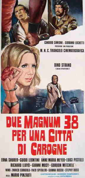 Due Magnum .38 per una città di carogne (1975) with English Subtitles on DVD on DVD