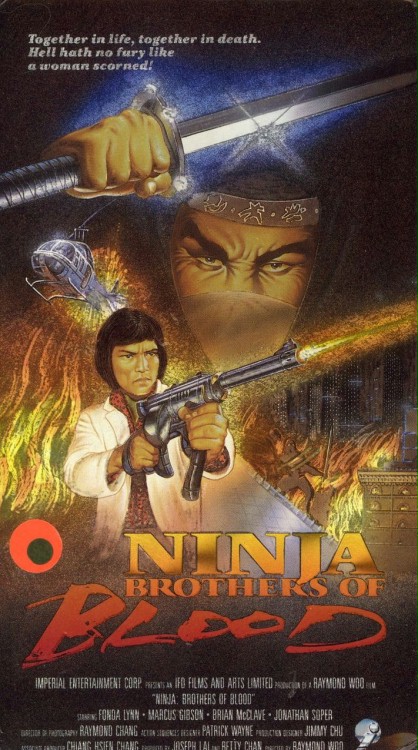 Ninja Knight Brothers of Blood (1988) starring Mike Abbott on DVD on DVD