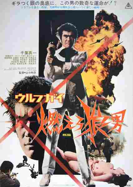 Wolf Guy (1975) with English Subtitles on DVD on DVD