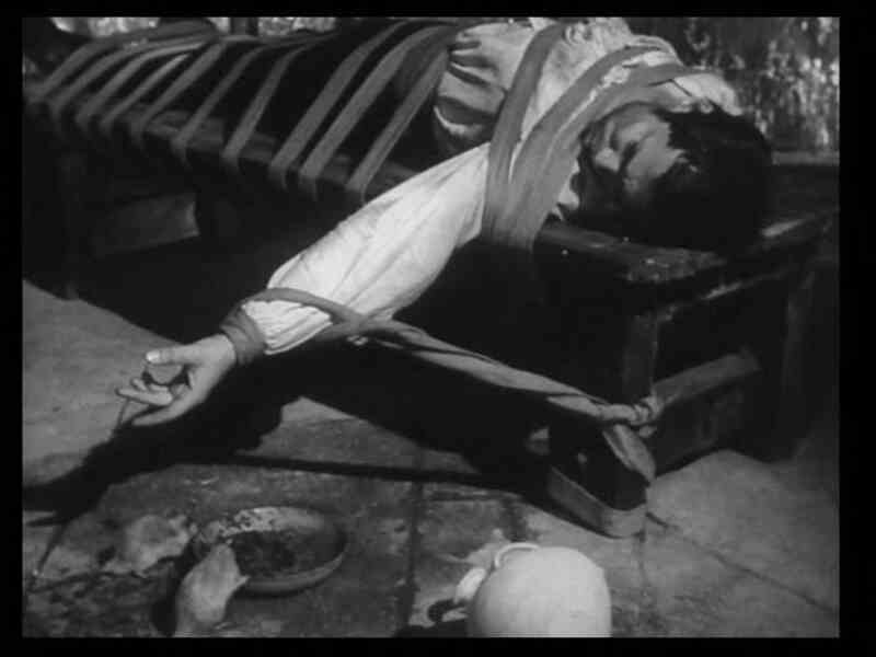 The Pit and the Pendulum (1964) with English Subtitles on DVD on DVD