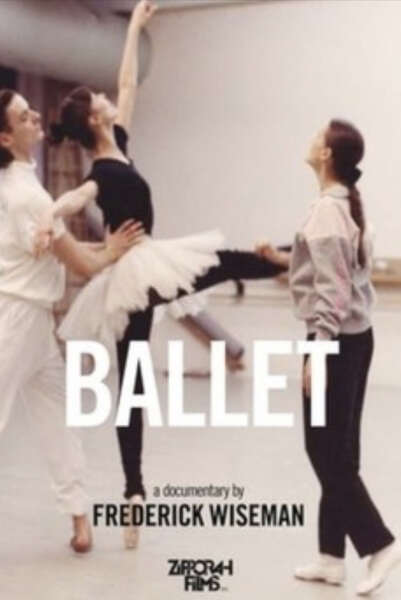 Ballet (1995) starring Mitchell Bloom on DVD on DVD