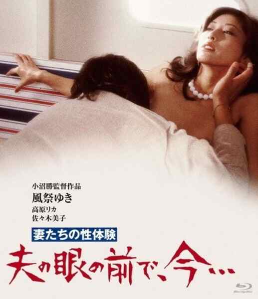 Wife's Sexual Fantasy Before Husband's Eyes (1980) with English Subtitles on DVD on DVD