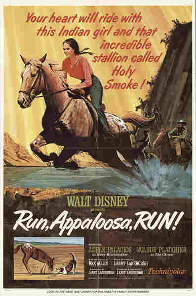 Run, Appaloosa, Run (1966) starring Rex Allen on DVD on DVD