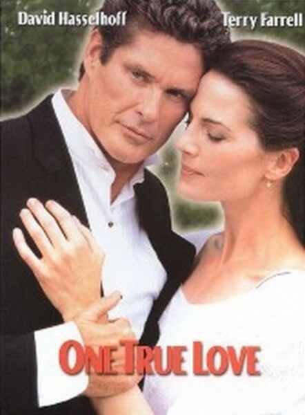 One True Love (2000) starring David Hasselhoff on DVD on DVD