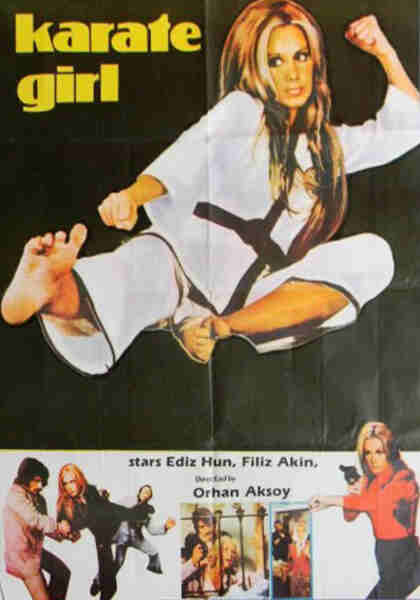 Karate Girl (1974) with English Subtitles on DVD on DVD