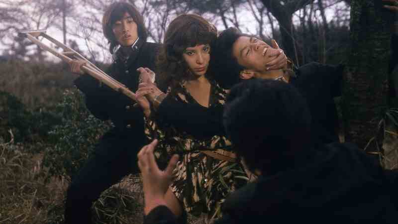 Kyoshi mejika (1978) with English Subtitles on DVD on DVD