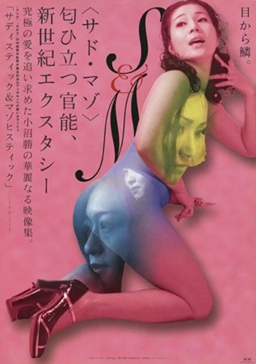 Sadistic and Masochistic (2000) with English Subtitles on DVD on DVD