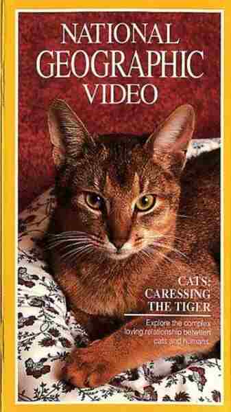 Cats: Caressing the Tiger (1991) starring Joseph Campanella on DVD on DVD