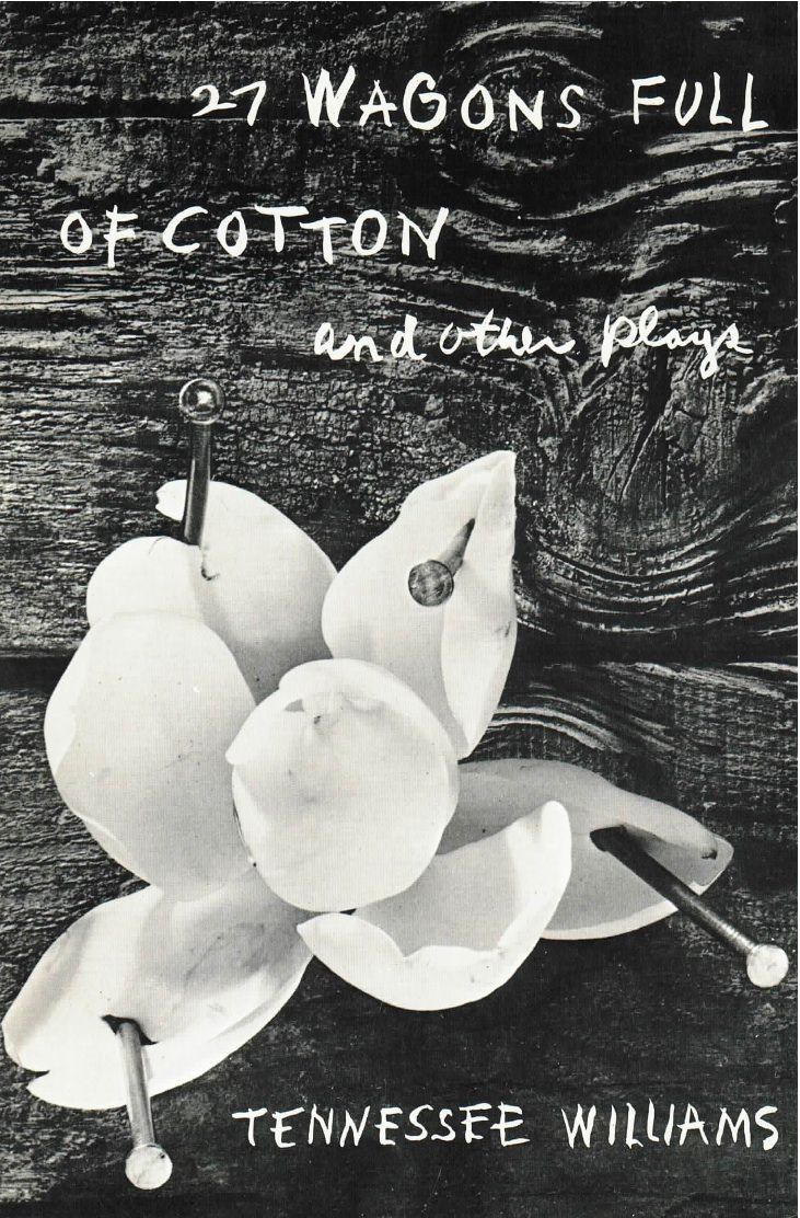 27 Wagons Full of Cotton (1990) starring Lesley Ann Warren on DVD on DVD