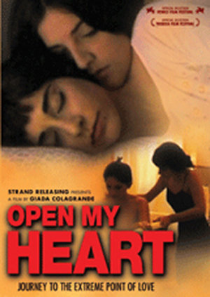 Open My Heart (2002) with English Subtitles on DVD on DVD