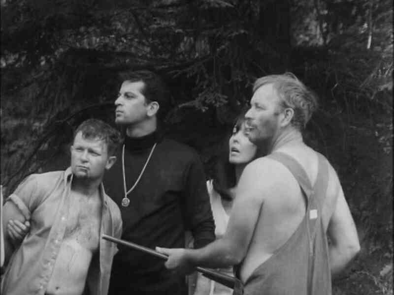 Sod Sisters (1969) starring Genie Palmer on DVD DVD Sod Sisters (1969) starring Genie Palmer on DVD on DVD