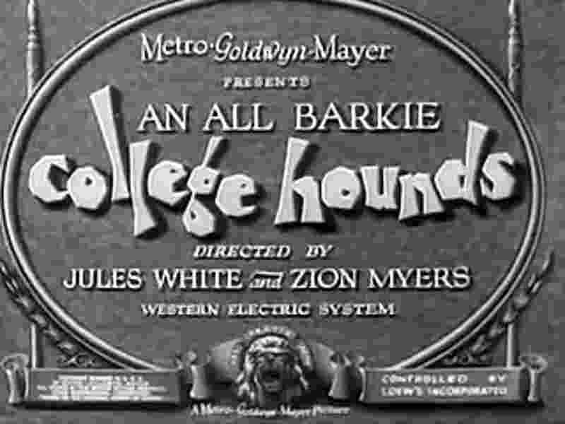 College Hounds (1929) starring Zion Myers on DVD on DVD