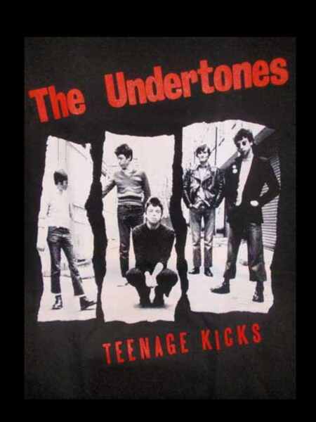 Teenage Kicks: The Undertones (2001) starring The Undertones on DVD on DVD