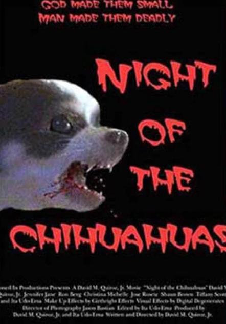 Night of the Chihuahuas (2004) starring Jason Bastian on DVD on DVD