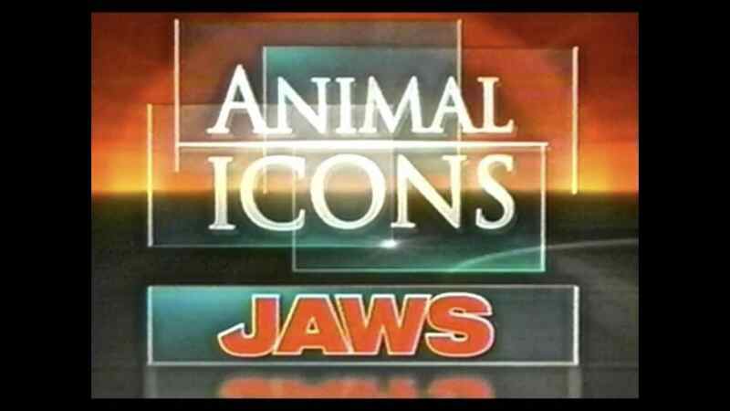 Animal Icons (2004–) starring Heather Joseph-Witham on DVD on DVD