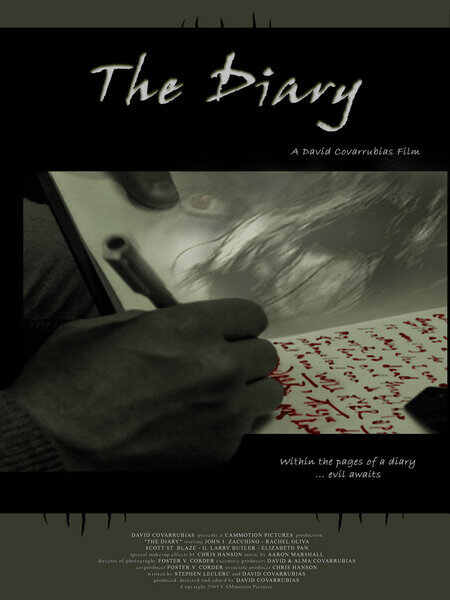 The Diary (2004) starring John Zacchino on DVD on DVD