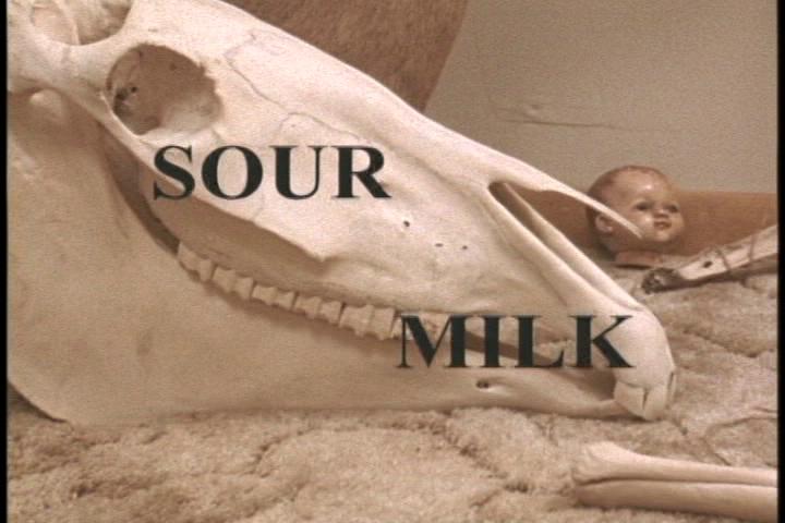 Sour Milk (2003) starring Ruby Larocca on DVD on DVD