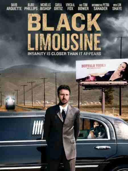 Black Limousine (2010) starring David Arquette on DVD on DVD