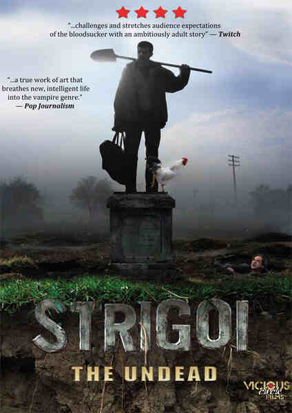 Strigoi (2009) starring Catalin Paraschiv on DVD on DVD