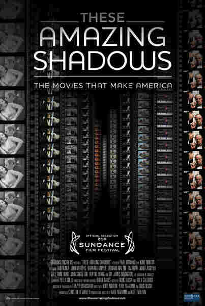 These Amazing Shadows (2011) starring Jeff Adachi on DVD on DVD