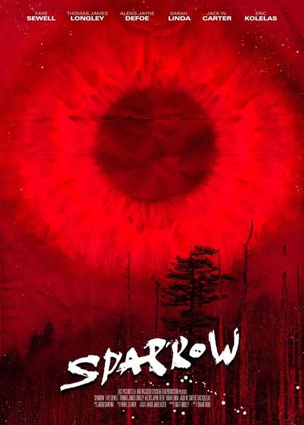 Sparrow (2010) starring Faye Sewell on DVD on DVD