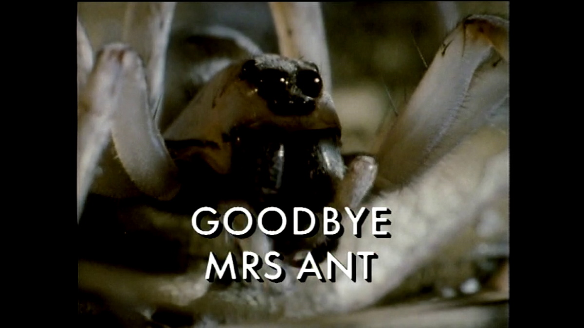 Goodbye Mrs Ant (1992) with English Subtitles on DVD on DVD