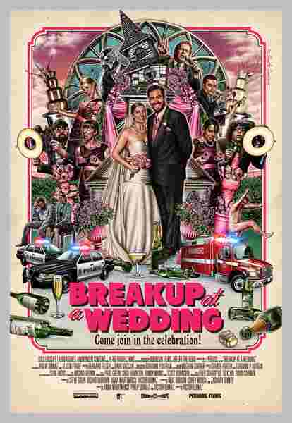 Breakup at a Wedding (2013) starring Alison Fyhrie on DVD on DVD