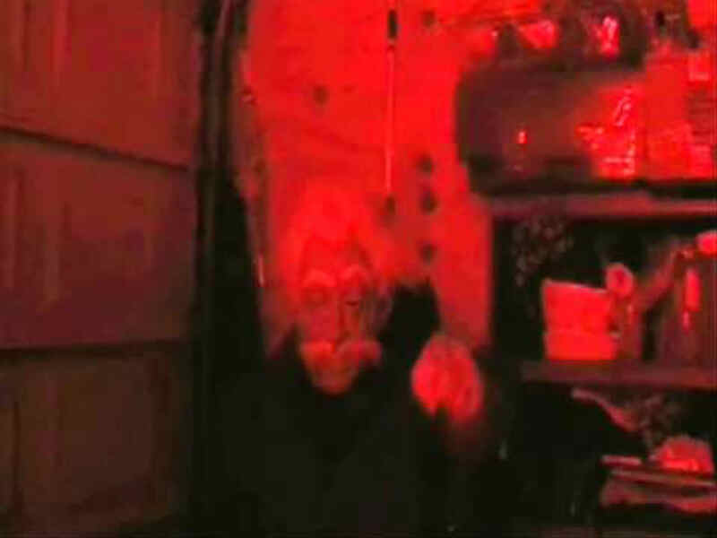Video Nasty (2011) with English Subtitles on DVD on DVD