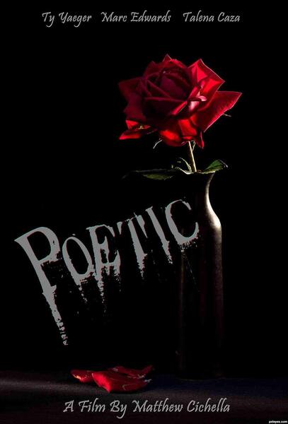 Poetic (2012) starring Ty Yaeger on DVD on DVD