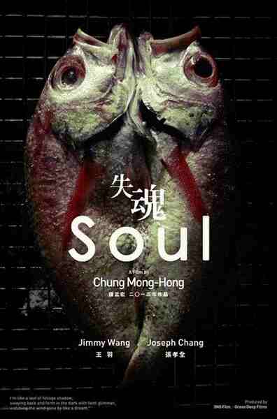Soul (2013) with English Subtitles on DVD on DVD