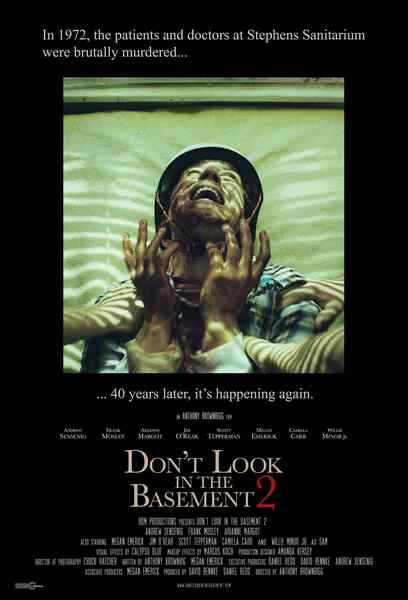 Don't Look in the Basement 2 (2015) starring Andrew Sensenig on DVD on DVD