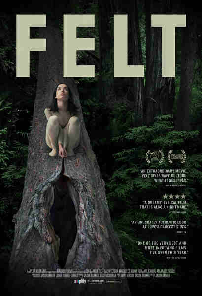 Felt (2014) starring Amy Everson on DVD on DVD