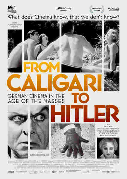 From Caligari to Hitler: German Cinema in the Age of the Masses (2014) with English Subtitles on DVD on DVD