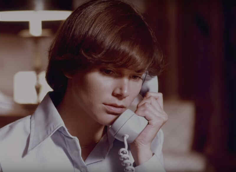 The Sitter (1977) starring Lucia Stralser on DVD on DVD