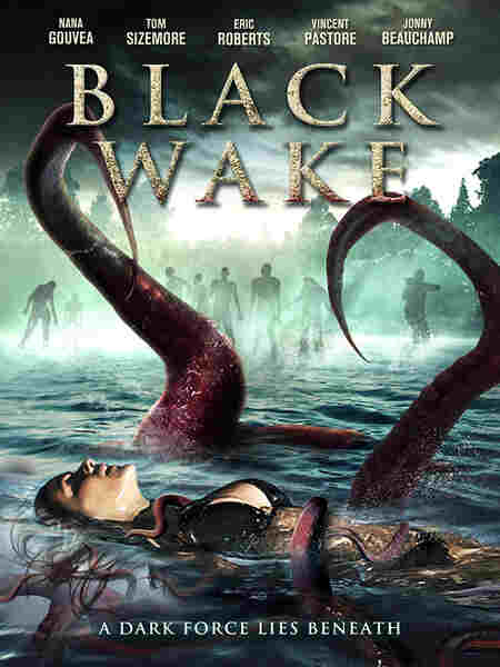 Black Wake (2018) starring Nana Gouvea on DVD on DVD
