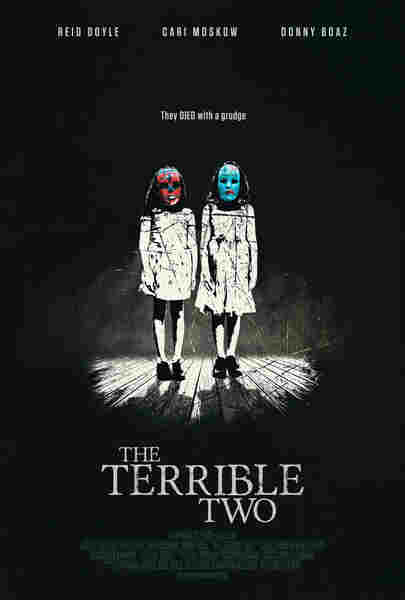 The Terrible Two (2018) starring Donny Boaz on DVD on DVD