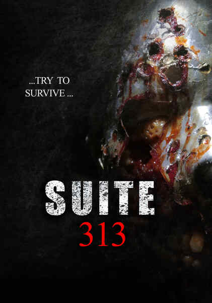 Suite 313 (2017) starring Jade Matthew on DVD DVD Suite 313 (2017) starring Jade Matthew on DVD on DVD
