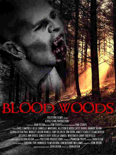 Blood Woods (2017) starring Dave Campbell on DVD on DVD