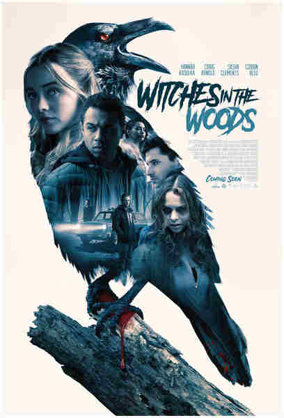 Witches in the Woods (2019) starring Hannah Kasulka on DVD on DVD